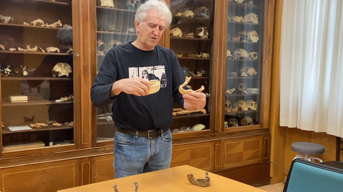 El primer Homo sapiens de Europa caminó por Cataluña