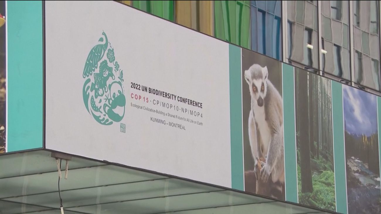 Arranca la conferencia de Montreal con un millón de especies en peligro de extinción