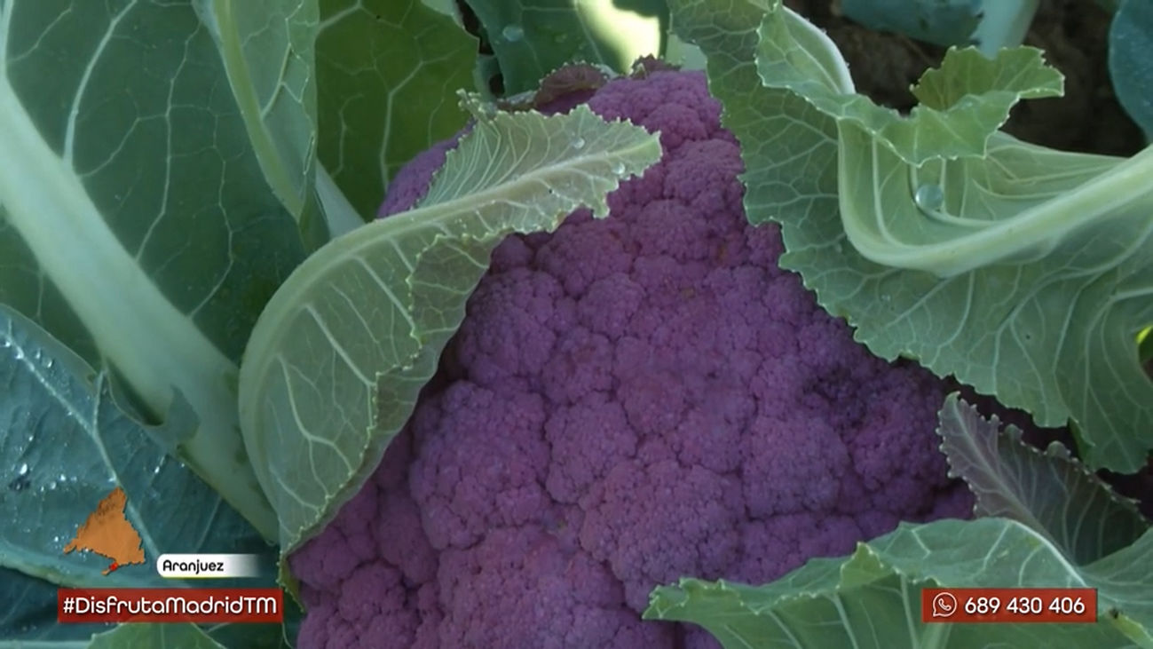 Existen las coliflores de colores y puedes encontrarlas en Aranjuez