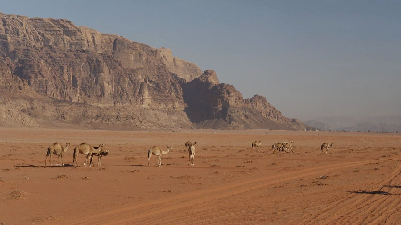 Madrileños por el mundo: Jordania