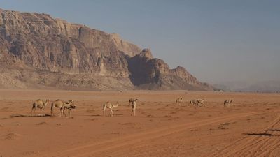 Madrileños por el mundo: Jordania