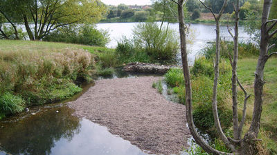 Cuatro niños, en estado crítico al caer en un lago helado en Birmingham