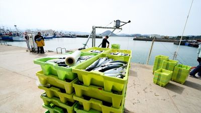 La UE duplica la cuota de merluza sur para España, aunque esta rechaza la propuesta sobre la pesca en el Mediterráneo