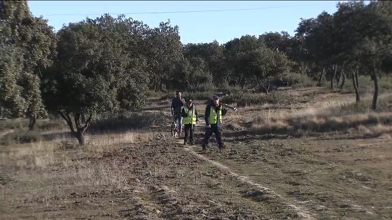 Arco Verde, el pulmón que transformará Madrid