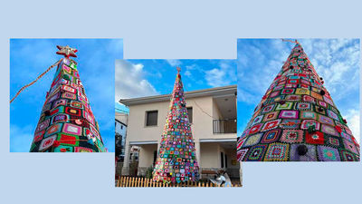 Así es el es original árbol de Navidad de Brea del Tajo, en donde cayó el Gordo hace 6 años