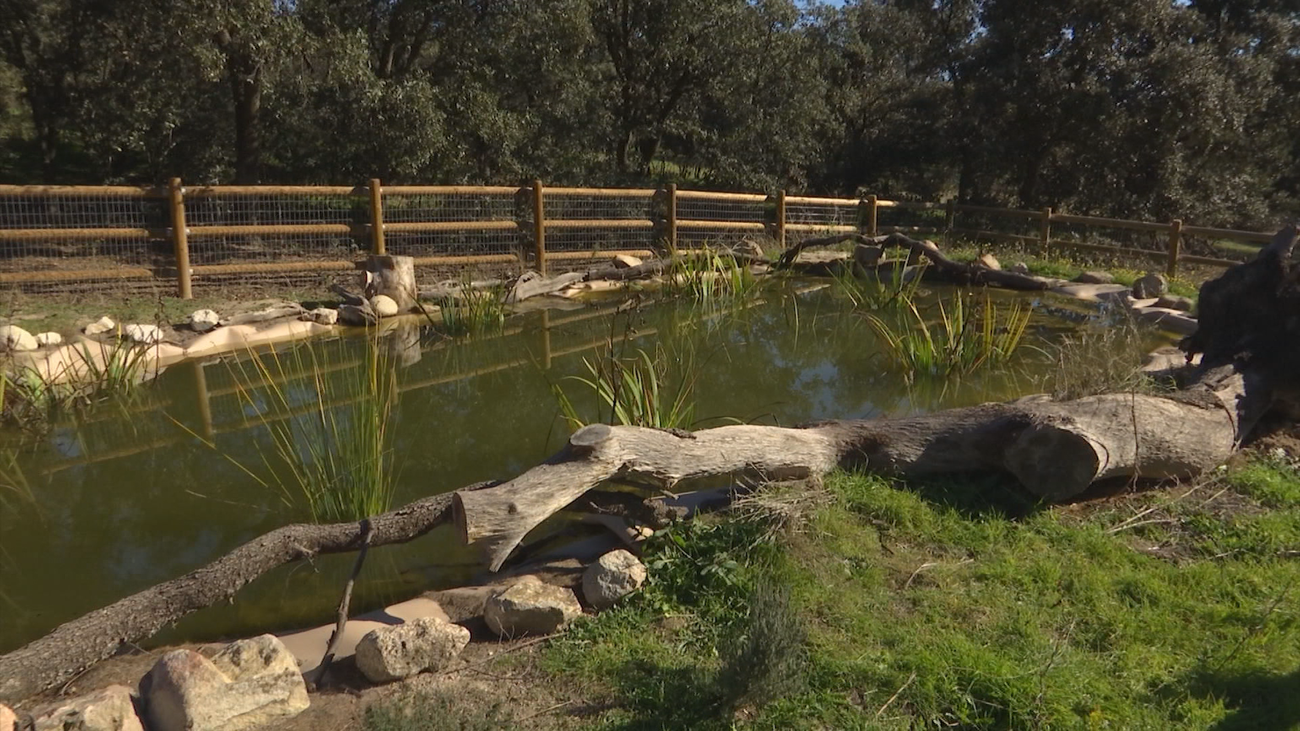 El Arco Verde, un proyecto para acercar la naturaleza a los madrileños