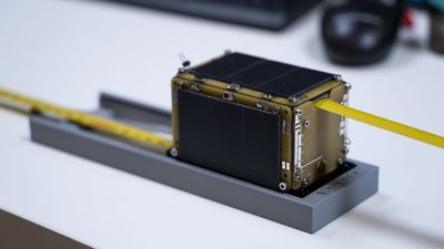 Un satélite lanzado por SpaceX llevará el nombre del humanista español Antonio de Nebrija