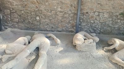 El Enfoque de Ida y Vuelta 29 - Por donde respira la Tierra