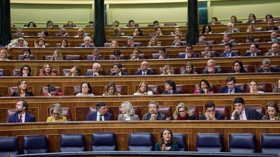 El PSOE y sus socios  se dan una  semana más para sacar adelante  la reforma de ley mordaza