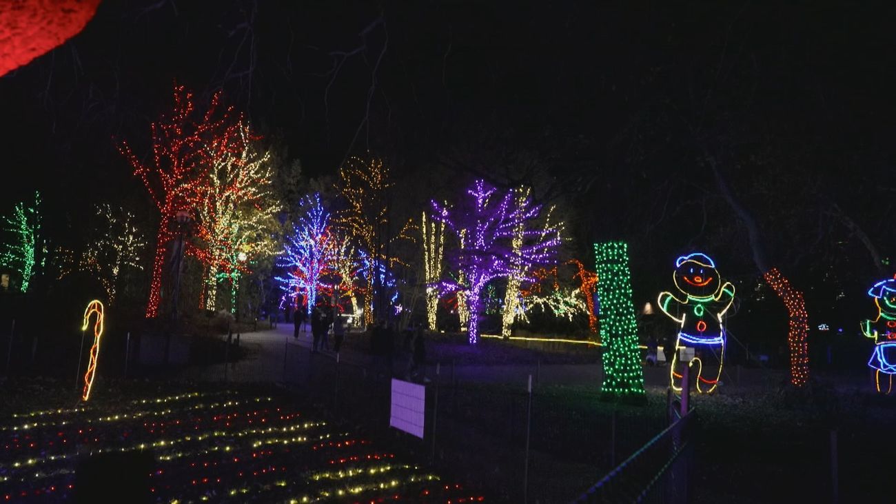El Zoológico de Lincoln Park y el Jardín Botánico de Chicago acogen los festivales de luces navideñas más populares