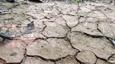 El Congreso convalida el decreto ley que establece 2.190 millones en ayudas para la sequía