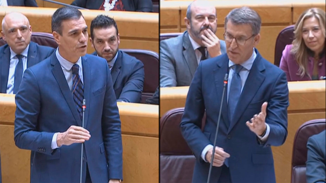 Sánchez acusa al PP de "enmudecer" al Parlamento y Feijóo le pide que deje de reducir a "cenizas" la democracia