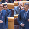 Sánchez acusa al PP de "enmudecer" al Parlamento y Feijóo le pide que deje de reducir a "cenizas" la democracia