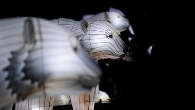 El Ayuntamiento de Madrid espera que no haya problemas este fin de semana en Articus