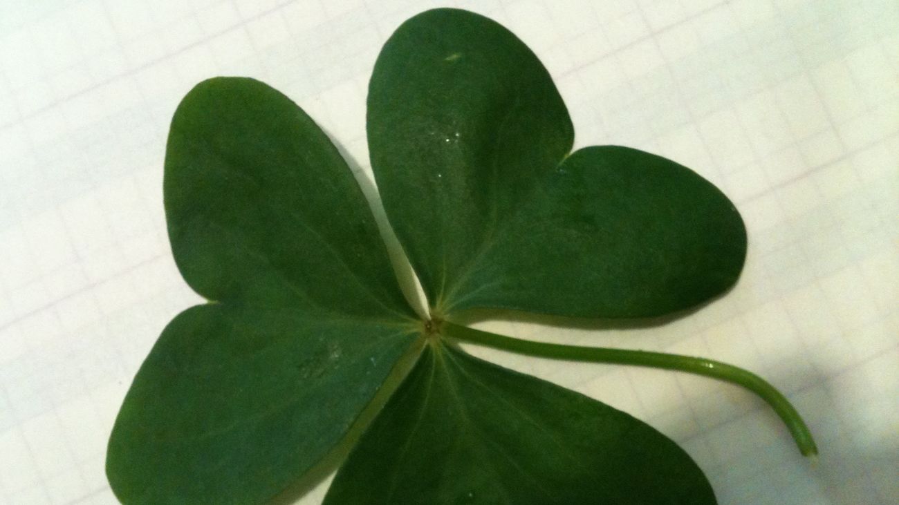 Orientación Laboral: ¿Influye la suerte para encontrar un puesto de trabajo?