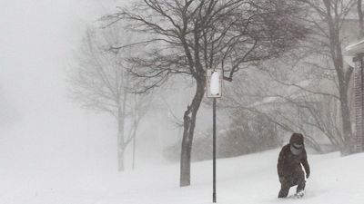 Se elevan a 22 los fallecidos a causa de la ola de frío en Estados Unidos