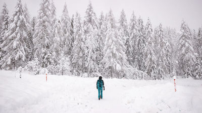 Al menos 10 desaparecidos tras una avalancha de nieve en Austria