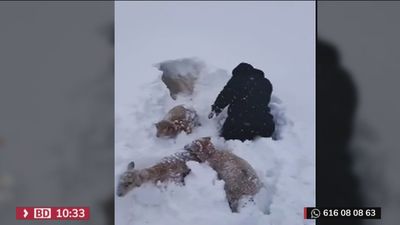 Cuando hasta la playa se congela... las espectaculares imágenes que ha dejado la tormenta Elliot en Estados Unidos