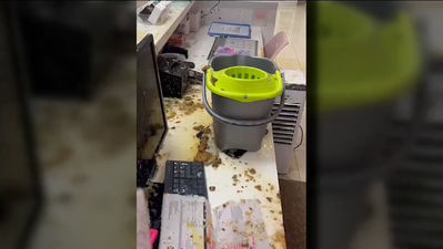 Lluvia de excrementos en Moratalaz