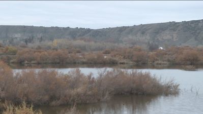 Un nuevo observatorio de aves para la laguna de Velilla de San Antonio en Madrid