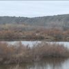 Un nuevo observatorio de aves para la laguna de Velilla de San Antonio en Madrid