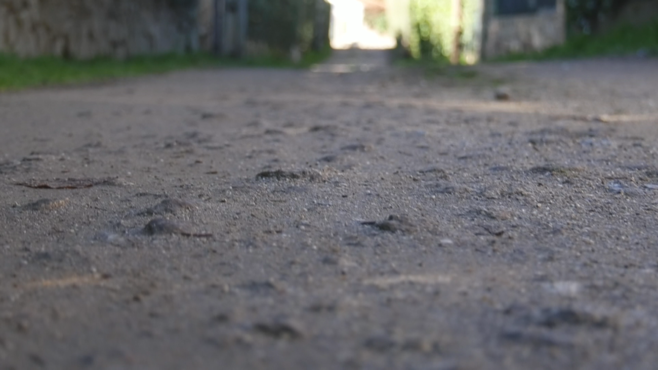 Los vecinos de Santa María de la Alameda denuncian el pésimo estado de sus calles