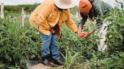 Nuevo sistema para autónomos: 15 tramos de cotización con cuotas desde los 234 euros hasta los 510 euros al mes