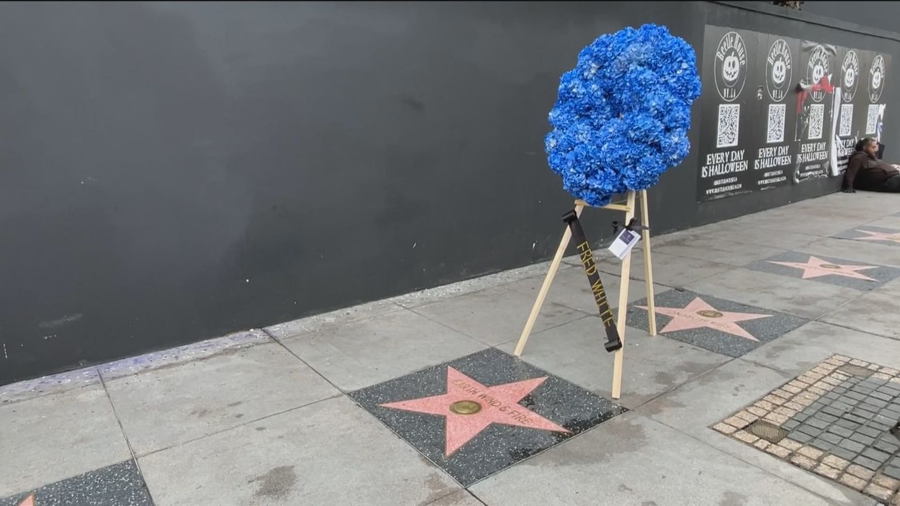 El Paseo de la Fama de Hollywood despide a dos estrellas