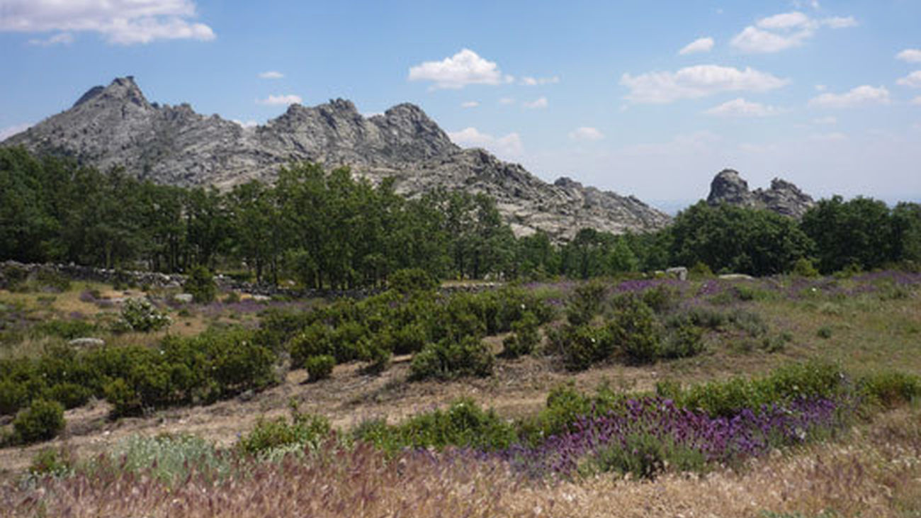 Rescatan a un hombre herido tras caerse en un monte en Buitrago del Lozoya