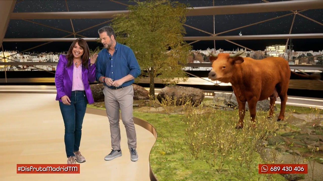 Filomena: la ternera que nació en plena borrasca cumple años