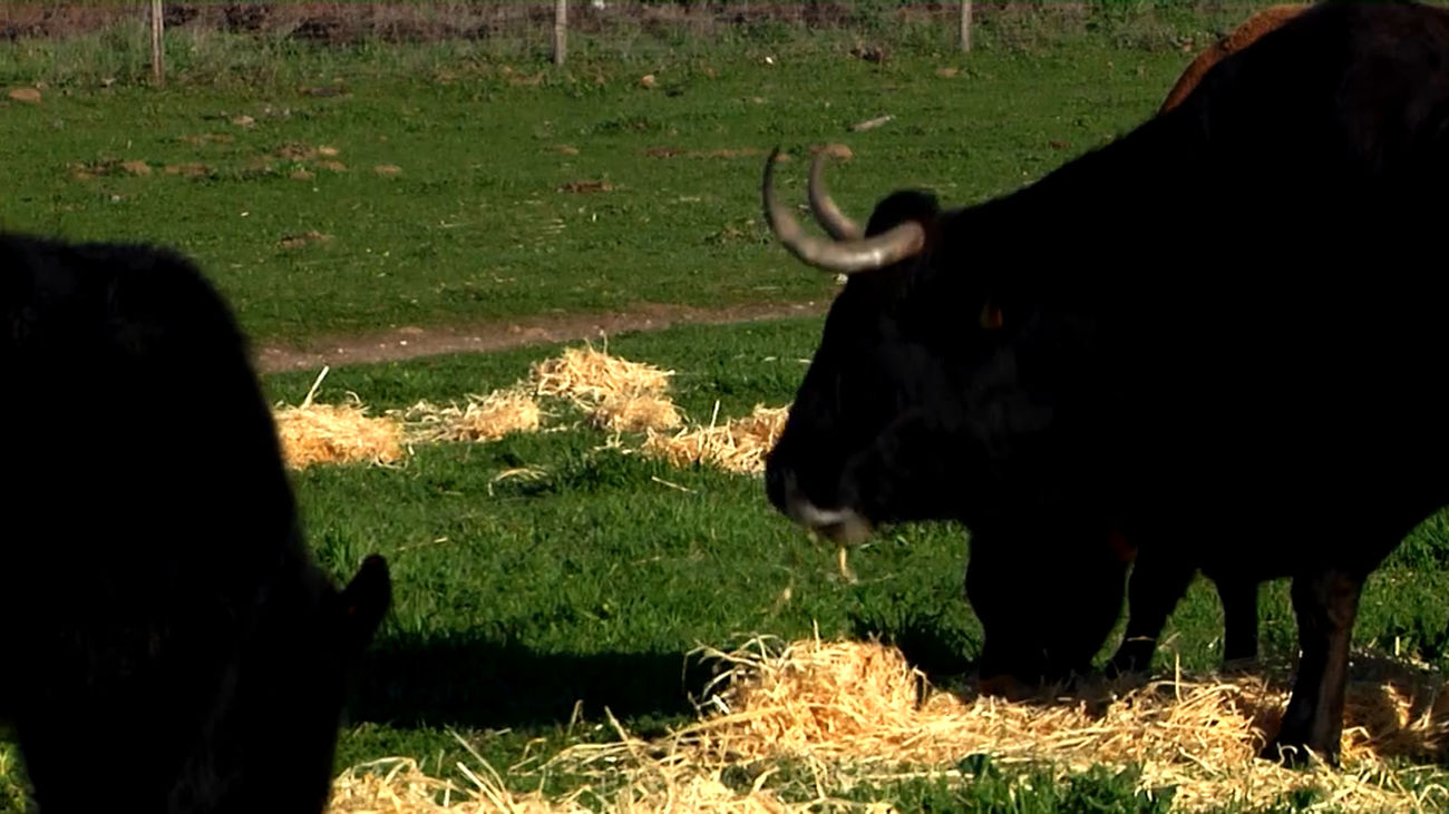 Madrid mejora tu vida 08.01.2023