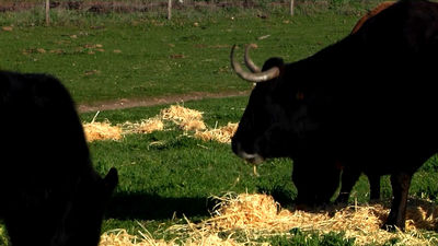 Madrid mejora tu vida 08.01.2023