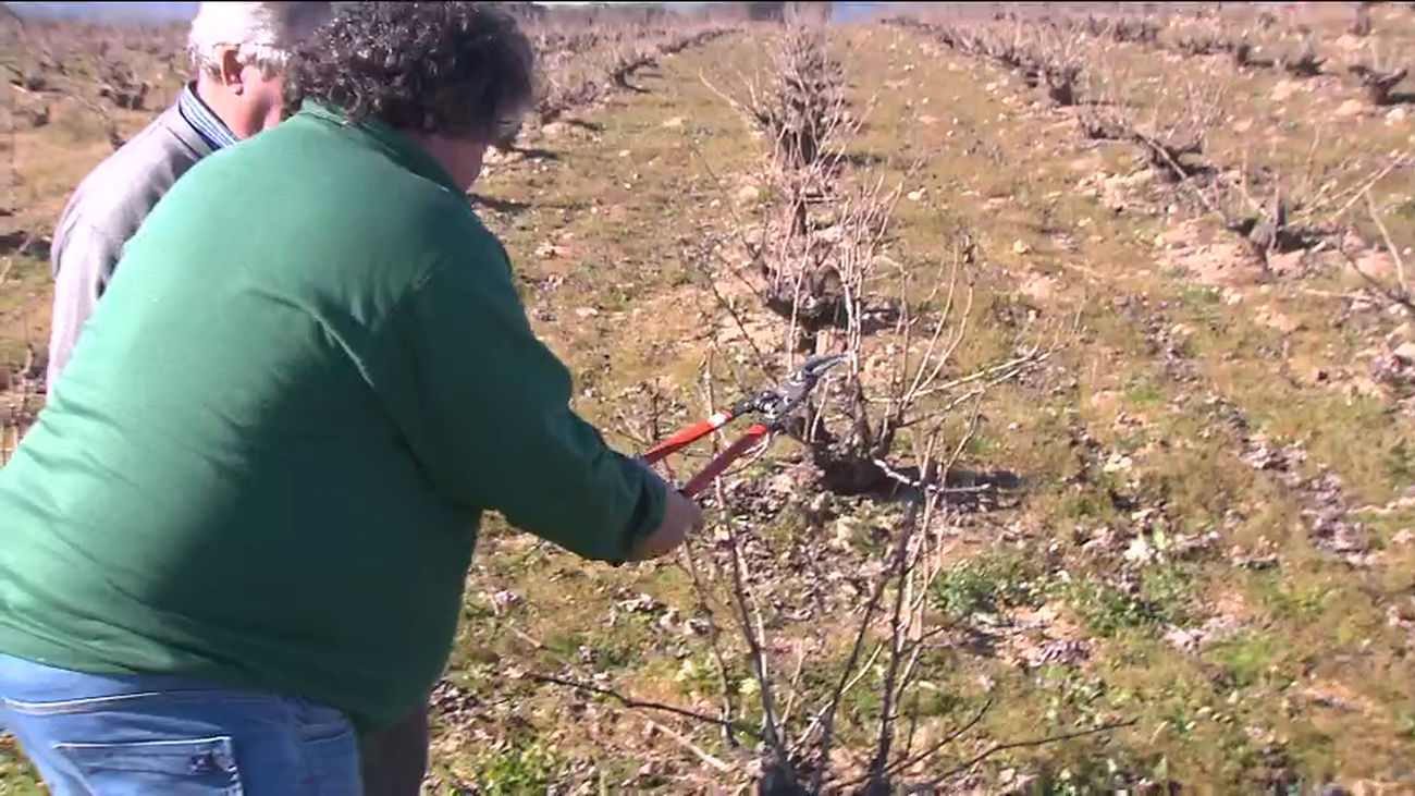 La nueva ruta del vino de Cenicientos para descubrir las piedras sagradas de celtas, romanos y cristianos