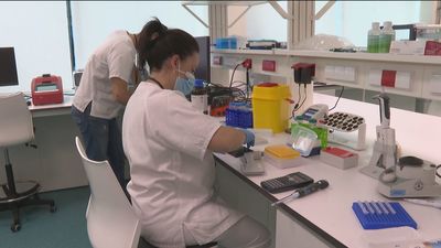 ¿Cómo optar a 476 plazas de Ayudante de Investigación en los organismos públicos?