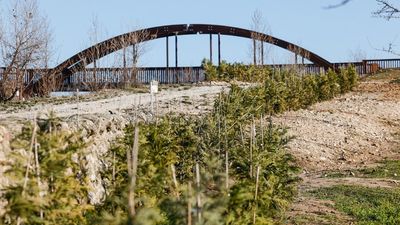 La Comunidad de Madrid utilizará Inteligencia Artificial para ayudar a los municipios a gestionar sus zonas verdes