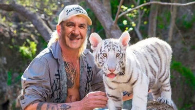 Los mejores memes del gran felino en Los Barrios que resultó ser un gato muy gordo