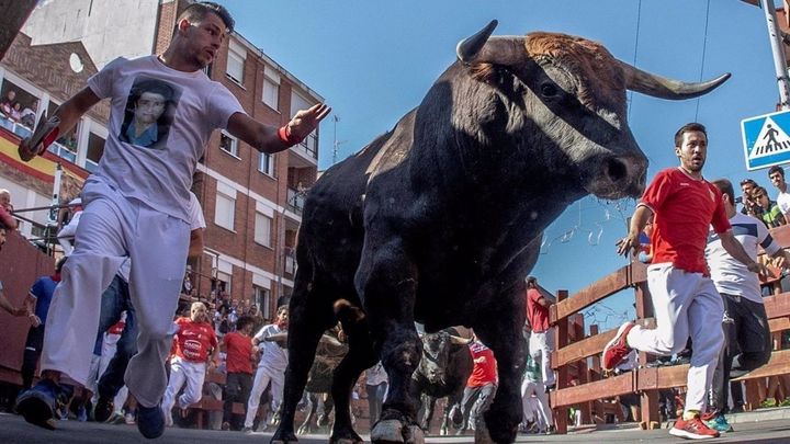Encierro en San Sebastián de los Reyes