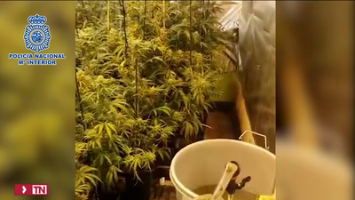 La Policía desarticula tres puntos de venta de droga en Puente de Vallecas