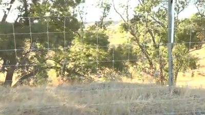 La Comunidad sanciona a una empresa de Valdetorres por invadir un espacio protegido