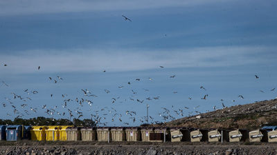 La Policía sigue buscando más restos humanos en el vertedero de Toledo