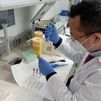 Un estudio sitúa el microbioma intestinal en el centro del origen del párkinson