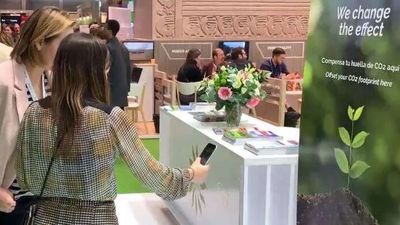 GreeMKO, la startup que facilita el camino a las empresas hacia su sostenibilidad ambiental y la neutralidad en carbono