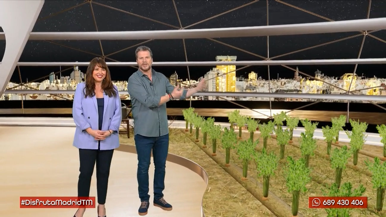 Estos apios son sabrosos,  saludables ¡y madrileños!