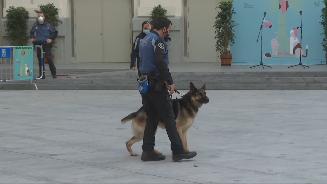 La unidad canina de la Policía Municipal, lista para la exhibición por San Antón