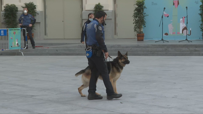 La unidad canina de la Policía Municipal, lista para la exhibición por San Antón