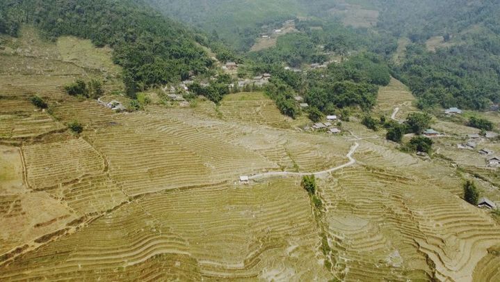 Terrazas de arroz de Sapa, Vietnam / Redacción