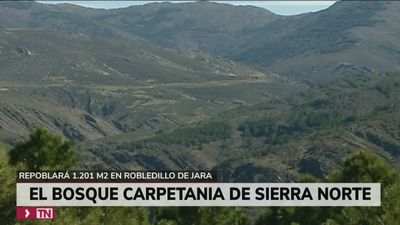 El Bosque Carpetania de la Sierra Norte repoblará 1.201 m2 en Robledillo de la Jara