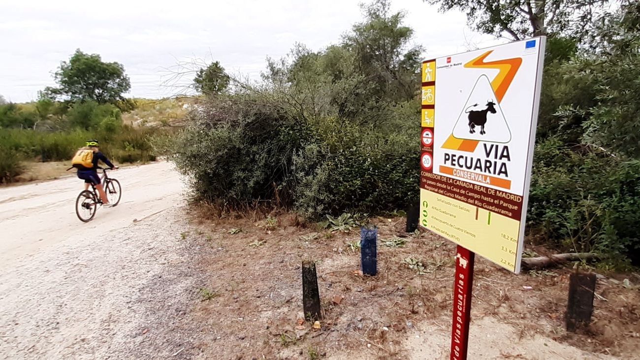 Cartel que identifica la vía pecuaria 'Cañada Real de Madrid'
