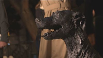 El perro Paco ya tiene estatua en la calle Huertas de Madrid