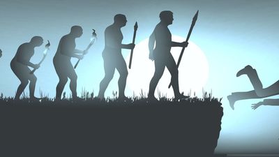 #PremiosDarwin, cuando la estupidez humana es de tal calibre que hay que premiarla